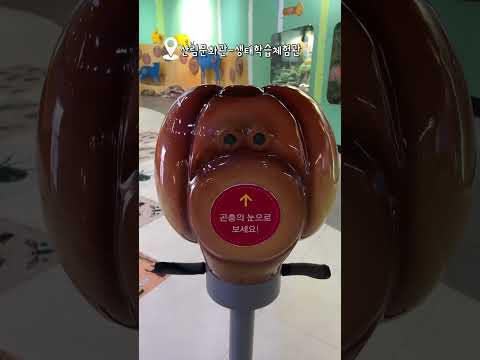 색다른 체험시설이 가득한