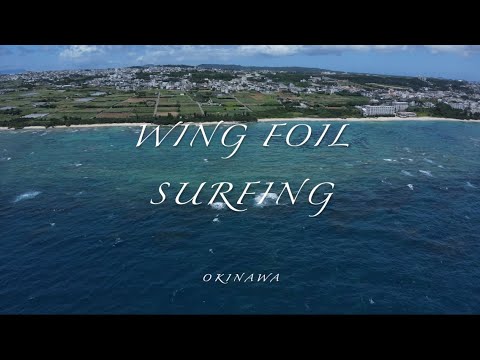 夏至南風 WING FOIL SURF &DOWNWIND