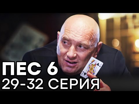 Сериал ПЕС 6 СЕЗОН - 29 - 32 серия - ВСЕ СЕРИИ ПОДРЯД | СЕРИАЛЫ ICTV