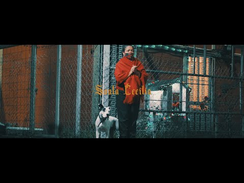 Perro Zw - Santa Cecilia