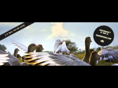 Oques Grasses - Cul - Un dia no sé com