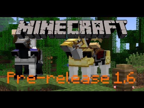 wikeTheKING MineDisney - Minecraft pre-release 1.6 [FR] [HD]