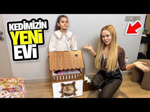 YAVRU KEDİMİZ BÜYÜDÜ! 😱 KEDİ EVİ YAPTIK !? 🏡 | Gamze Karta Öykü Karta