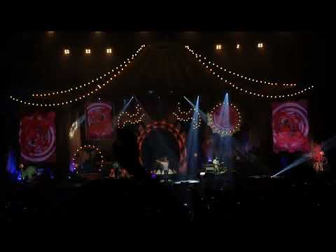 MONKEY HOTEL + 꿈과 책과 힘과 벽 (일부) - 잔나비 jannabi (190901 Fantastic old-fashioned returns) @k-mola