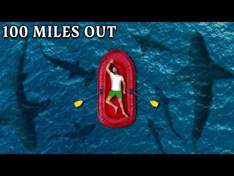What Actually Lives In The Middle of the Ocean?