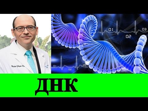 Какие фрукты и овощи ускоряют восстановление ДНК? - Майкл Грегер
