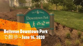 Bellevue Downtown Park で散歩 at 2020年6月16日