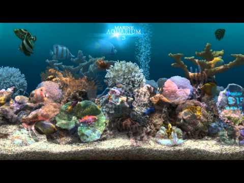 Marine Aquarium 3.3 video