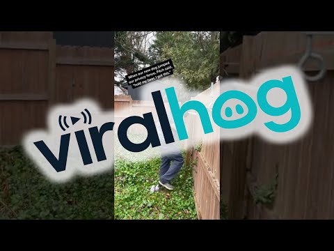 DIY Coyote Rollers for an Escape Artist Dog || ViralHog