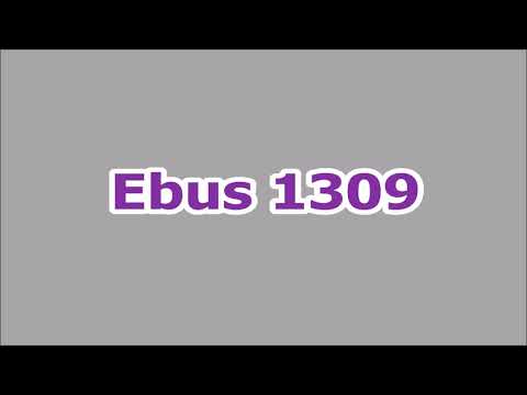 STCP 1309 (Linha 806)