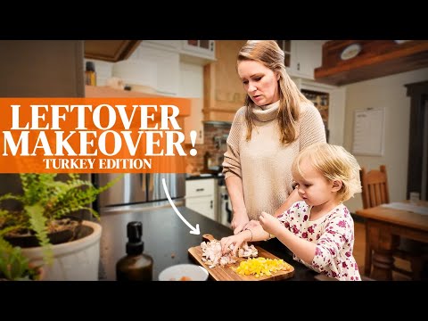 Do NOT Throw Away that Leftover Turkey! Remake it!