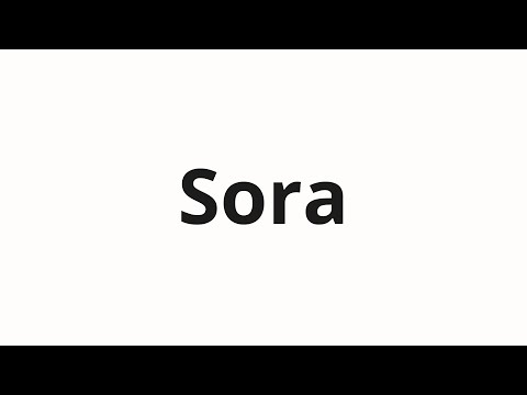 How to pronounce Sora