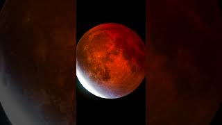 Lunar Eclipse - Refractor vs Reflector Telescope #shorts