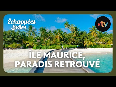 Île Maurice, un paradis retrouvé - Échappées belles