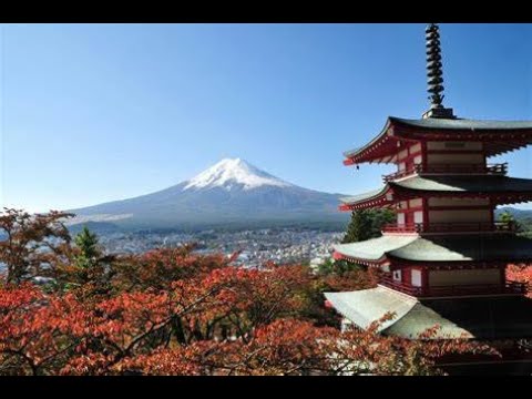 Cultural Immersion: 5 Authentic Experiences in Japan