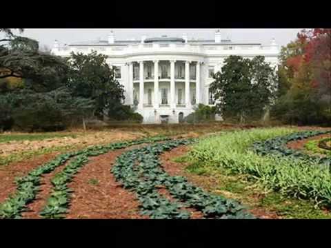 The Solution- ShilohZen