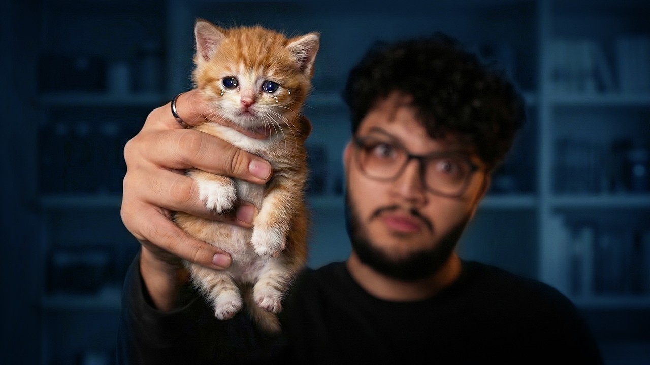 ليش بنحب نأذي الكيوت؟