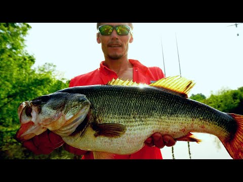 The BIGGEST BASS I've EVER Seen River Fishing