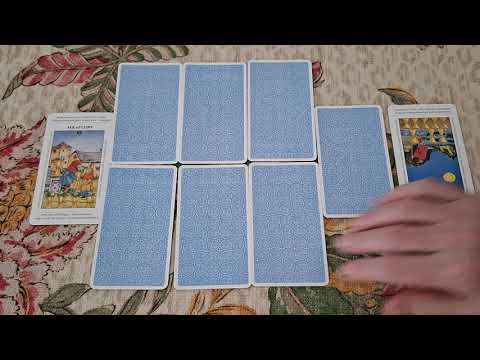 58. Right royal mess. Who's to blame for the York/Sussex scandals?