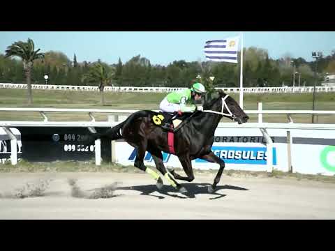 220617 c02 - ESTRUPEFACTO - HIPODROMO LAS PIEDRAS