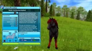 Buying a Jorvik Wildhorse