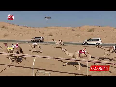 الشوط 19 (خلاب) لـ ىاشد محمد سعيد الخاطري 6:24 , شارة الديوان 2025/10/25 لقايا اللبسه 