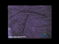 Sesame Street Letter T On The Beach