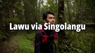 Download lagu MOUNTAIN LAWU VIA SINGOLANGU | Majapahit King Trail mp3 Download lagu MOUNTAIN LAWU VIA SINGOLANGU | Majapahit King Trail mp3