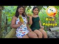 Enjoying A Papaya