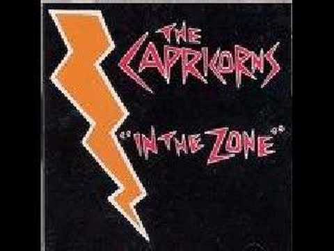 Geeky Pop Song - The Capricorns