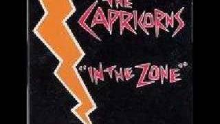 Geeky Pop Song - The Capricorns