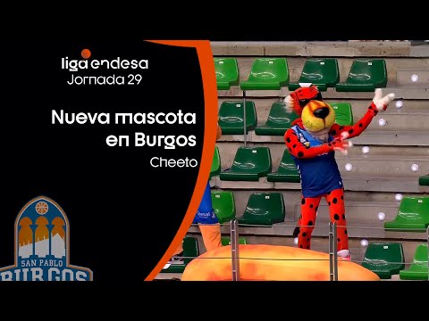 Cheeto, la nueva mascota burgalesa