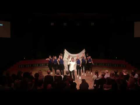 NTNUi danseshow høst 2016 - Instruktørdans