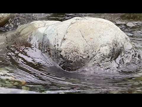 Mineral Bar (2025) Max Devereaux Short Film