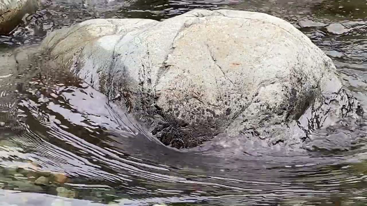 Mineral Bar (2025) Max Devereaux Short Film