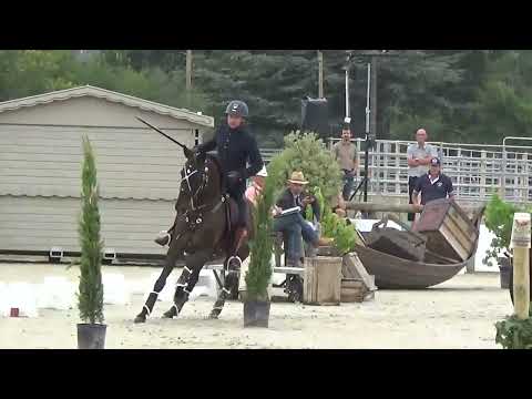 World Championship Working Equitation 2022 in les Herbiers speed test Maldea Mihai on BENJAMIN