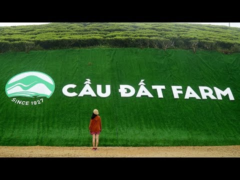 Đồi chè Cầu Đất 2018 | Coffee CAU DAT FARM | Du lịch Đà Lạt 2017 - 2018 | ZaiTri