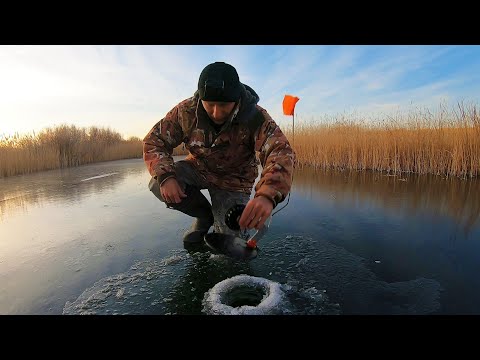 Фото Первый лед 2021-2022! Рыбалка на жерлицы! ПОПАЛИ НА РАЗДАЧУ! Лед как зеркало, аж страшно ходить!