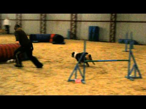 Pizsi edzés / 3 2014.03.19