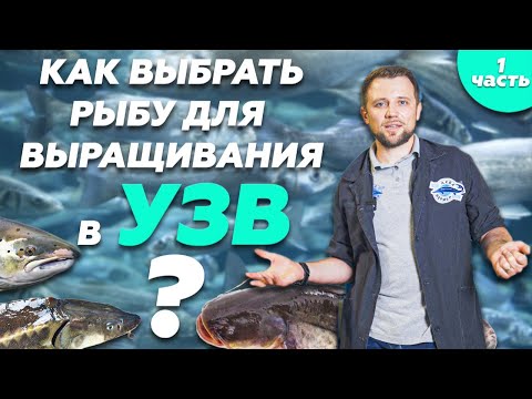 , title : 'Как ПРАВИЛЬНО выбрать РЫБУ ДЛЯ ВЫРАЩИВАНИЯ в УЗВ? Часть 1 | Бизнес с нуля'