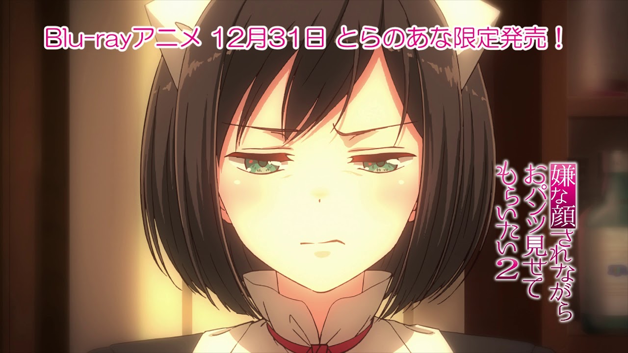 Show Me Your Panties While You Give Me That Disgusted Look! 2 trailer thumbnail