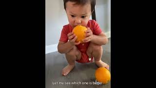 Can I bite?#orange #bite #bitter #fruit #lol #funny #shorts #food #yummy #sweet #loveit #haha #two