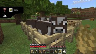 Minecraft_20241101184114