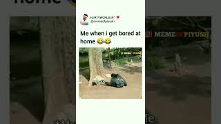 Me when I get bored at home 🤣🤣🤣 #shorts #memes