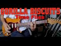 Gorilla Biscuits - Time Flies (Guitar Cover)