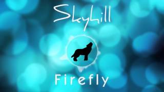 Skyhill Accordi