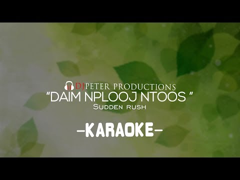 Sudden Rush - Daim Nplooj Ntoos (DJPeter Karaoke)
