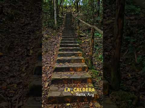 Día 24: Mostrandote por qué le dicen #SaltaLaLinda 🌄 hasta llegar a 1 millón de seguidores.