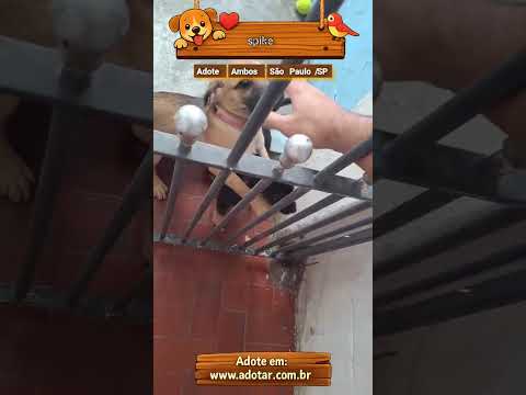 Vídeo de spike