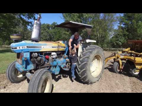 download lagu mp3 mp4 Berkshire Pigs For Sale In Georgia, download lagu Berkshire Pigs For Sale In Georgia gratis, unduh video klip Berkshire Pigs For Sale In Georgia